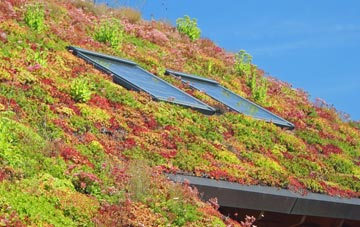 Wedhampton living roof systems